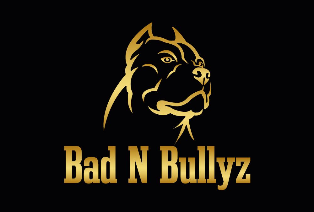 Logo Design Coatbridge, Lanarkshire, Glasgow, Edinburgh, Graphic Design Coatbridge, Lanarkshire, Glasgow, Edinburgh, Coatbridge Graphic Designer, Logo Design Bad n Bullyz